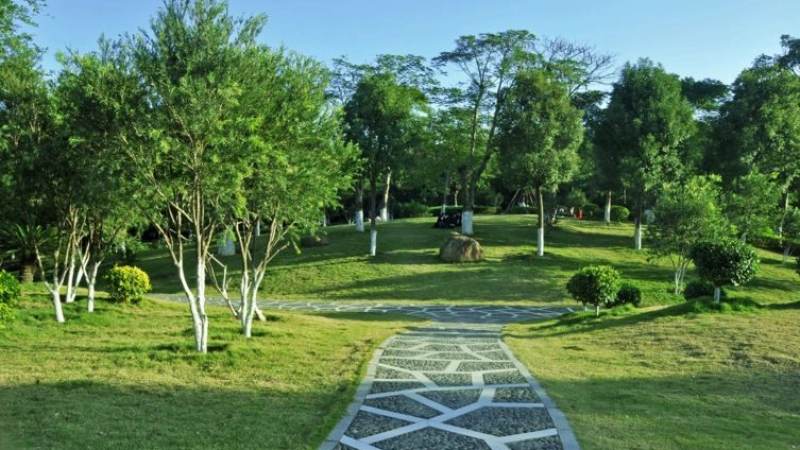 CBA总决赛时间怎么查？赛程安排与赛制规则解读
